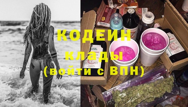 амф Корсаков