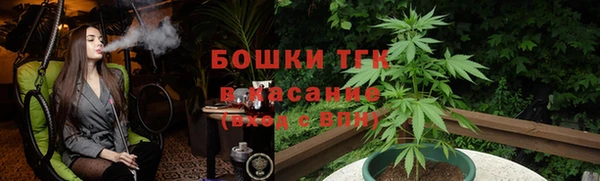 амф Корсаков