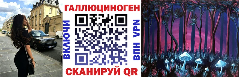 Галлюциногенные грибы прущие грибы  Купить где  Нестеров 